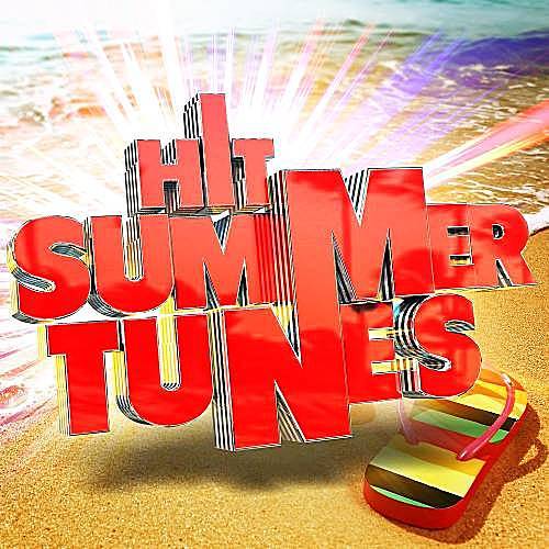VA - Hit Summer Tunes - Positive Roots (2018) MP3