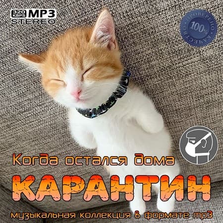 Карантин: Когда остался дома (2020) MP3
